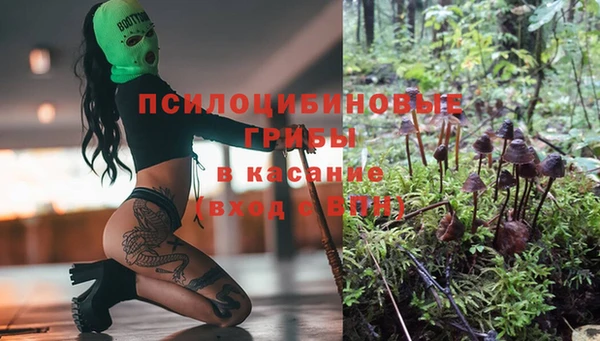 спайс Каменка