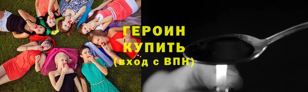 ГАЛЛЮЦИНОГЕННЫЕ ГРИБЫ Тайга