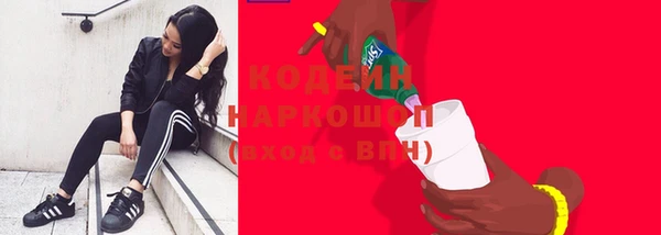 хмурый Касимов