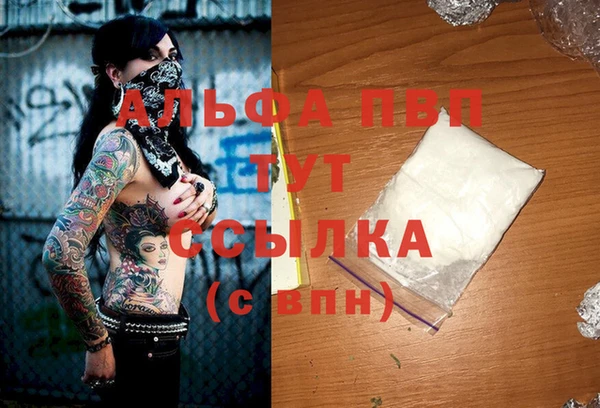 спайс Каменка