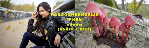 хмурый Касимов