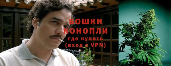 спайс Каменка