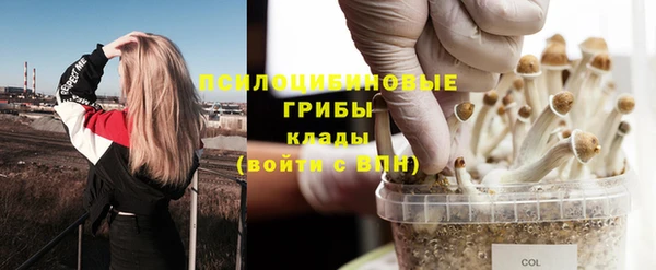 a pvp Карталы