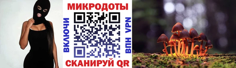 Псилоцибиновые грибы прущие грибы  хочу наркоту  omg маркетплейс  Кировград 